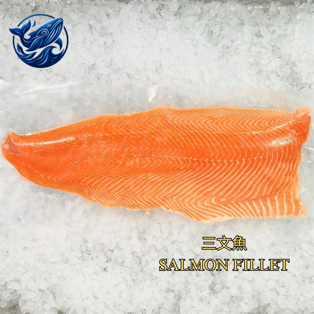 FreshCatch AA SALMON (+/-1KG-3KG) / Ikan Laut / Fillet (Imported)