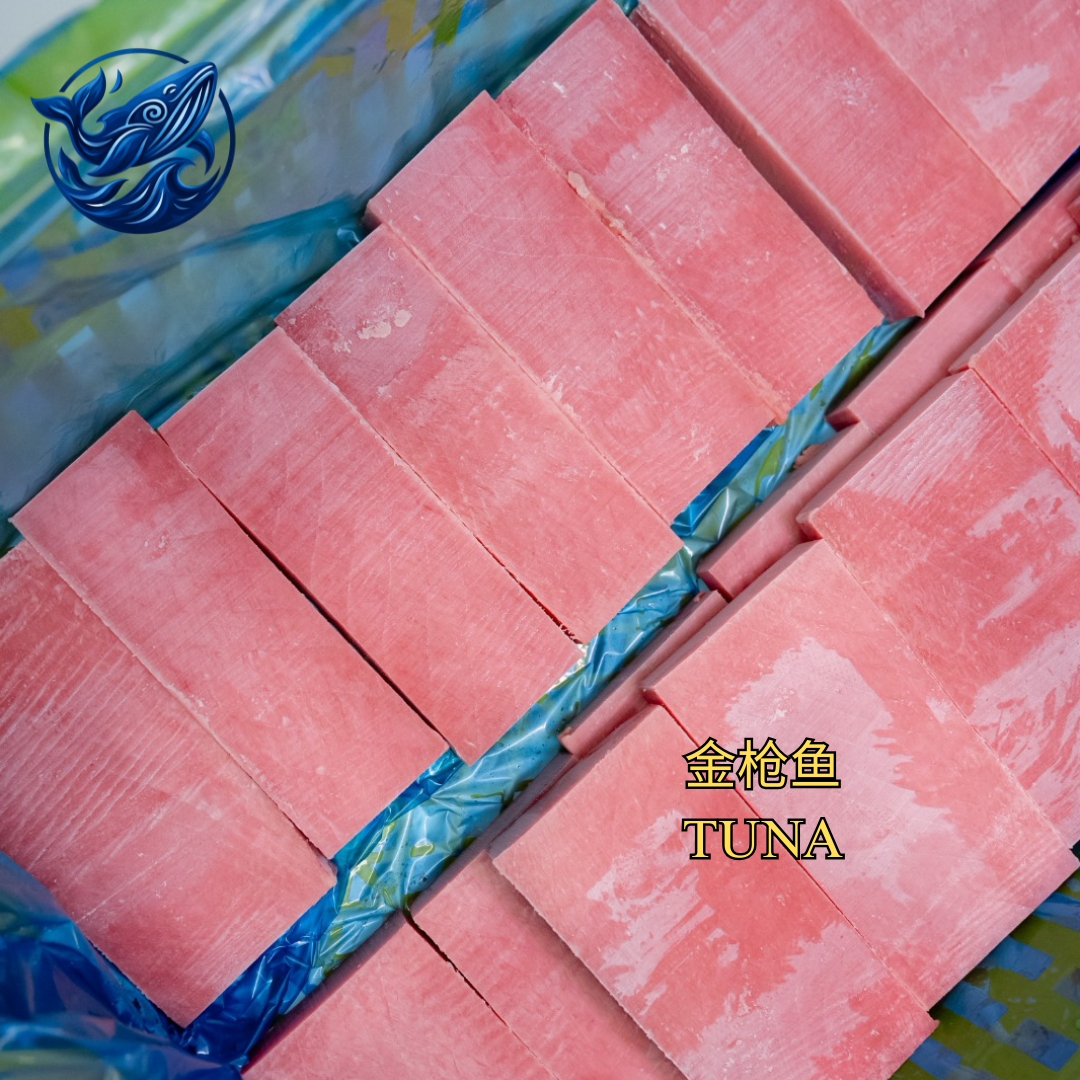 FreshCatch AA TUNA (+/-600G , +/-400G, +/-200G ) / Ikan Laut / Block (Imported)
