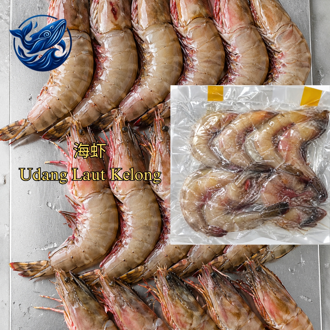 FreshCatch AA KELONG PRAWN (+/-1KG ) / Fresh Seafood Frozen