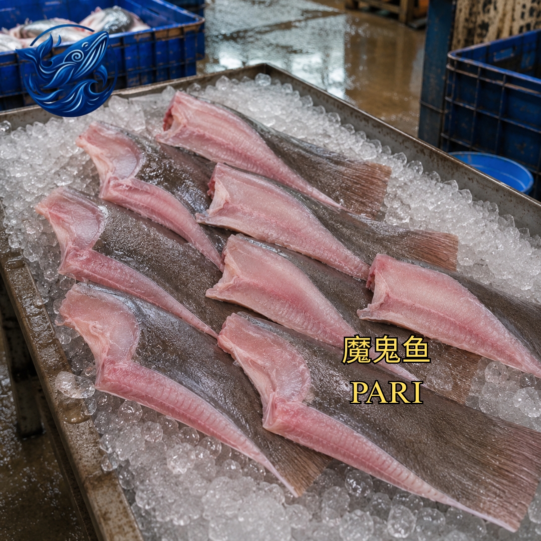 FreshCatch AA PARI PARI (+/- 100G - 500 G ) / Ikan Laut / Fillet