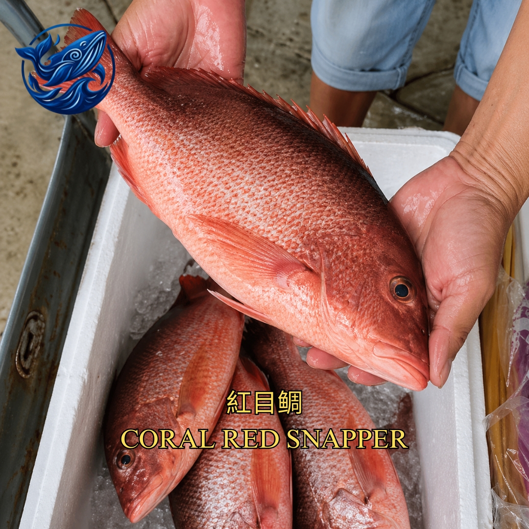 FreshCatch AA CORAL RED SNAPPER (+/- 700G-1KG) / Ikan Laut / Whole