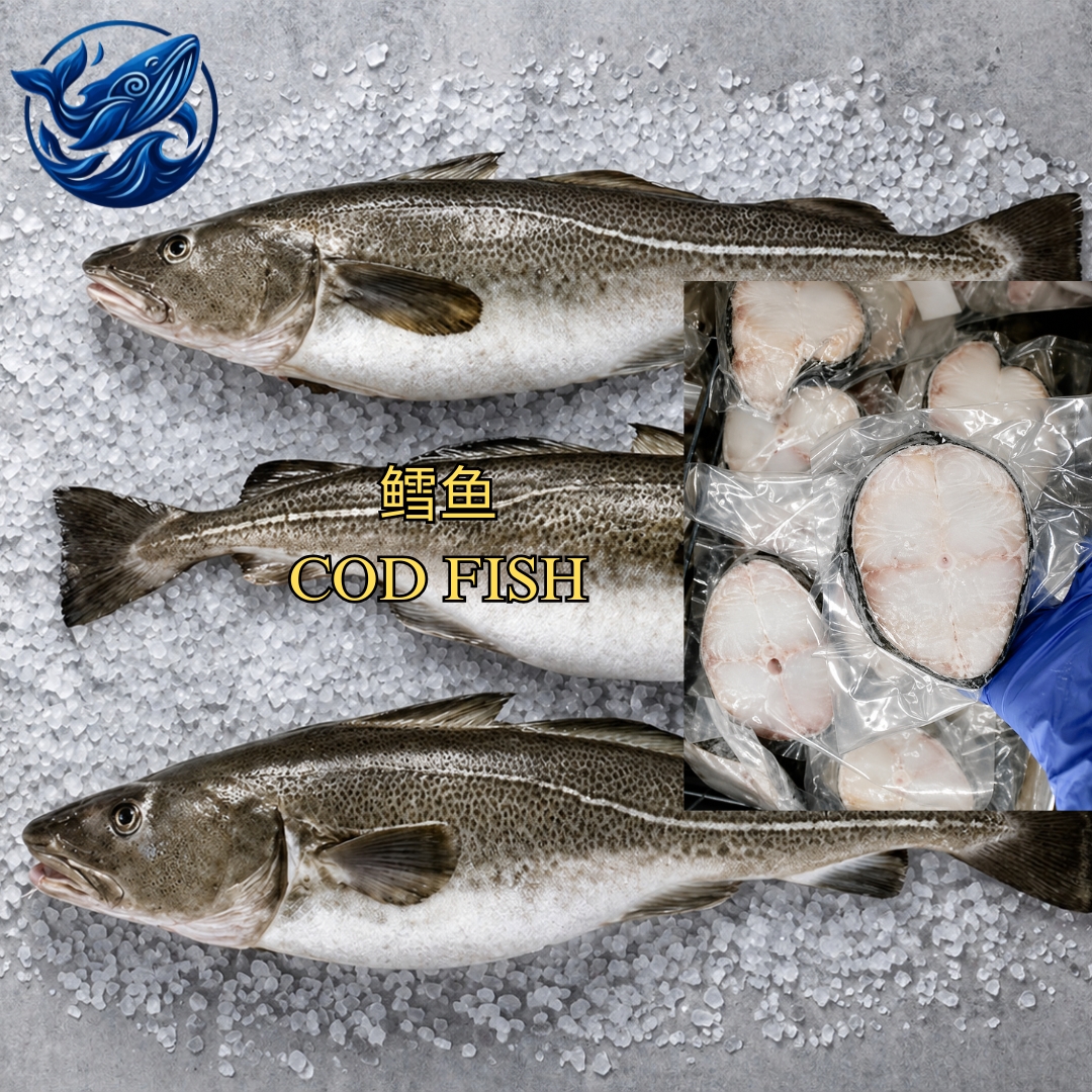FreshCatch AA COD FISH (+/-500G , 1KG ) / Ikan Laut / Fillet