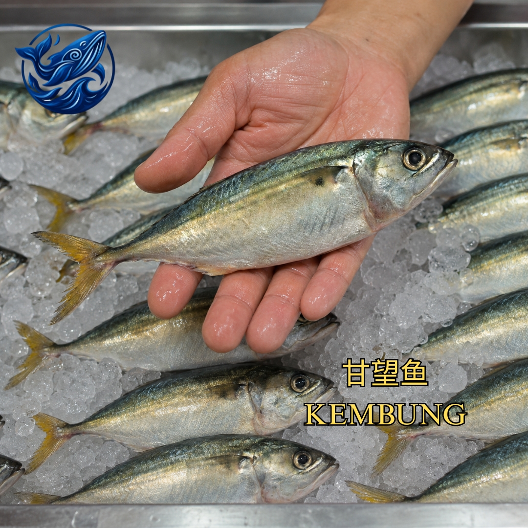 FreshCatch AA KEMBUNG (+/-400G - 1KG ) / Ikan Laut / Whole