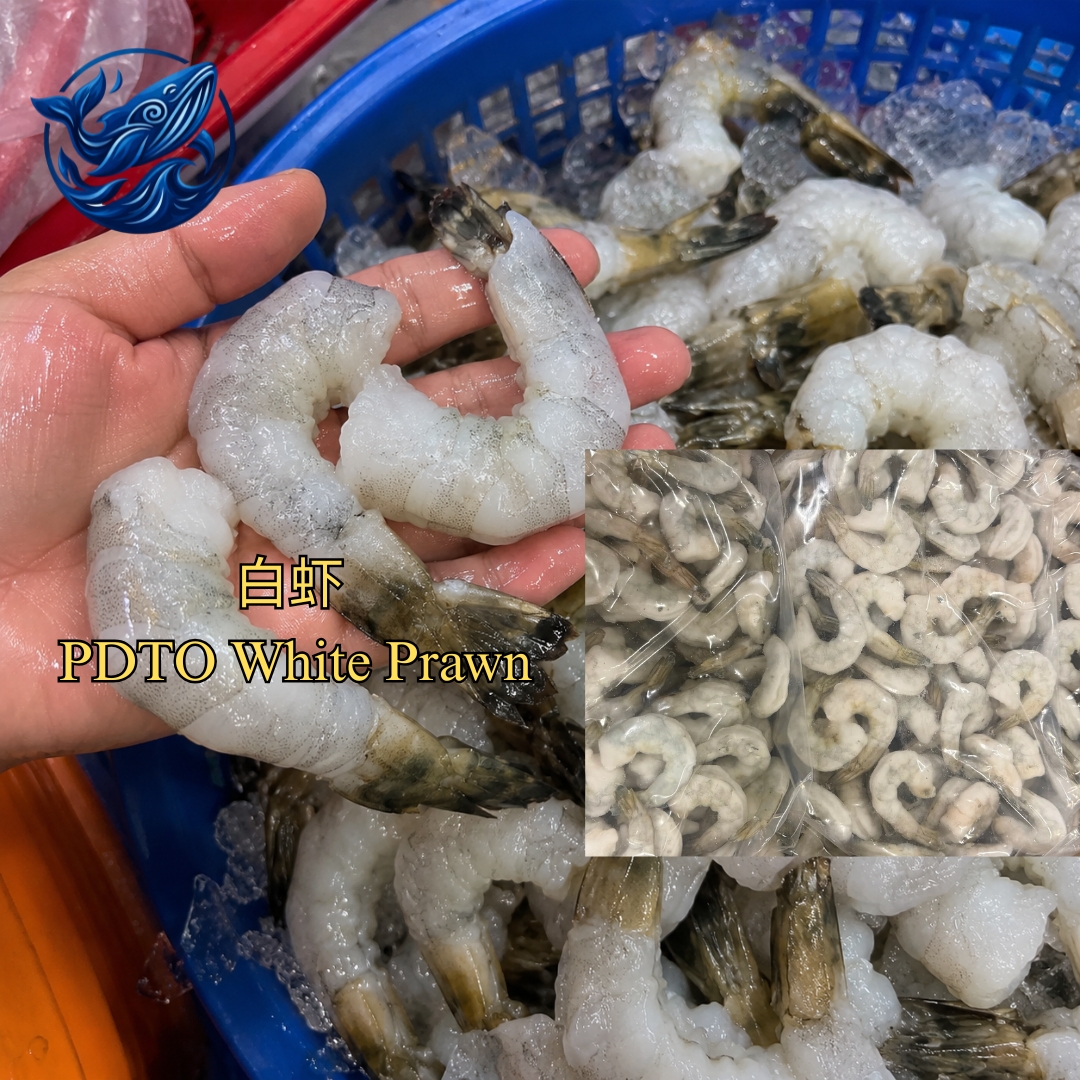 FreshCatch AA WHITE SHRIMP 41/50 (+/-1KG ) / Frozen Seafood / PDTO ( On Tail )