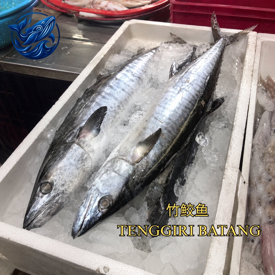 FreshCatch AA TENGGIRI BATANG (+/-1 KG,+/-3 KG,+/-5 KG) / Ikan Laut / Whole