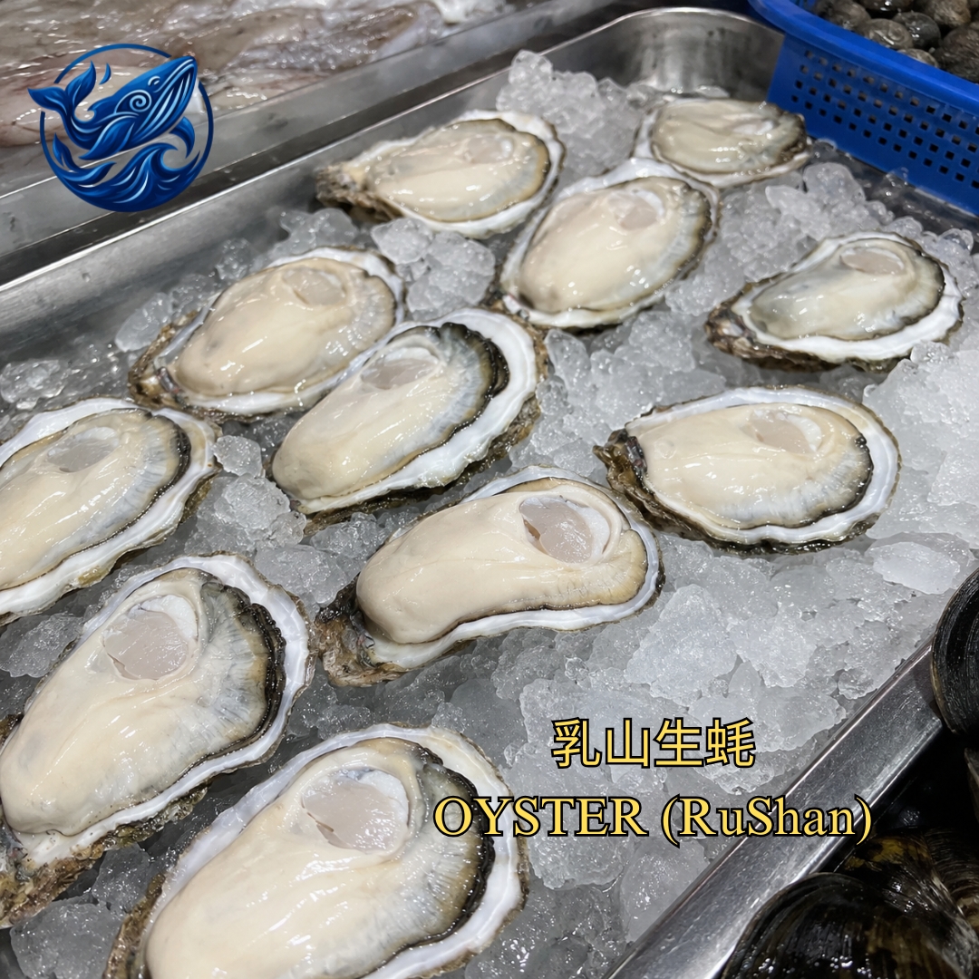 FreshCatch AA OYSTER (+/-1KG ) / Frozen Seafood