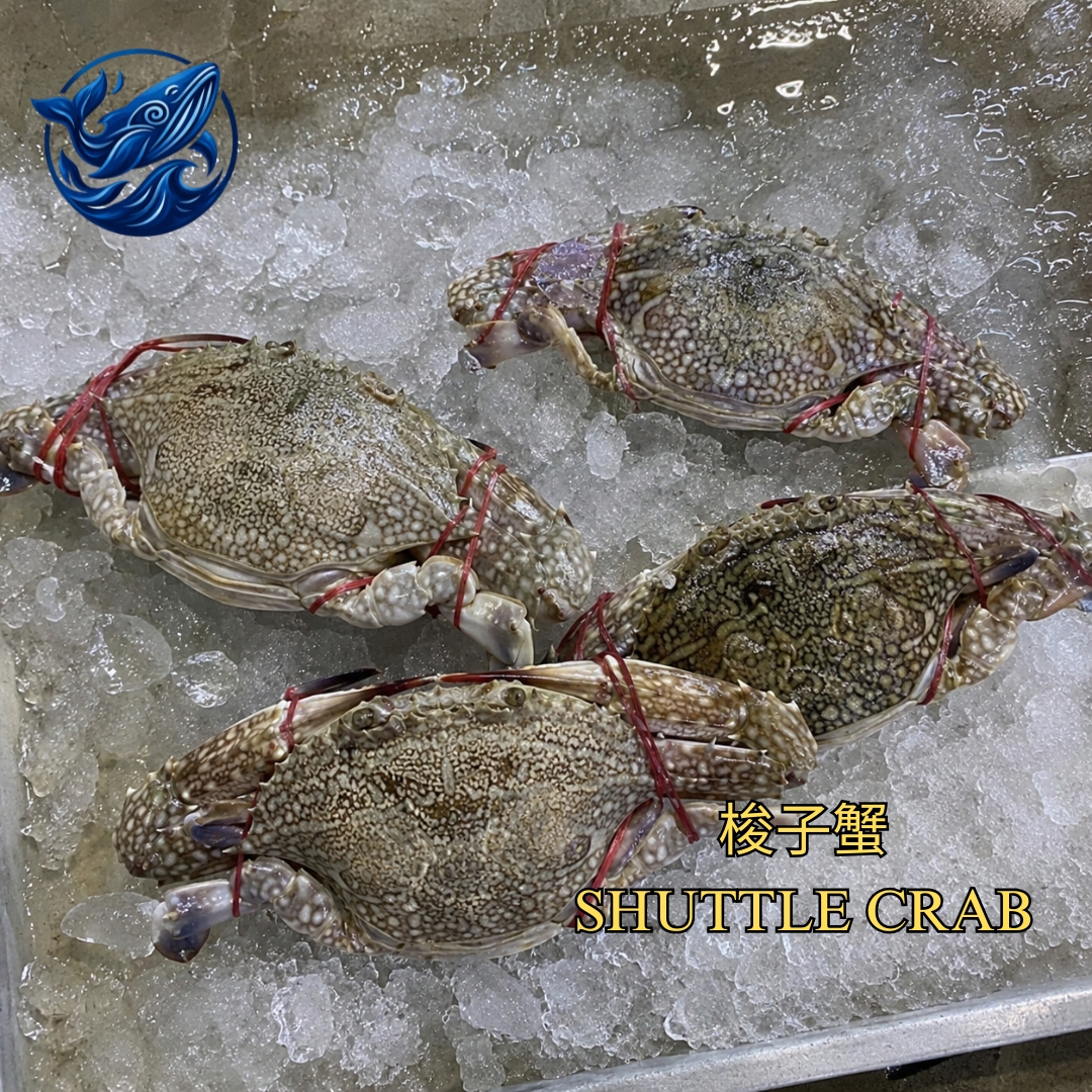 FreshCatch AA SHUTTLE CRAB (+/- 200G ) / Frozen Seafood