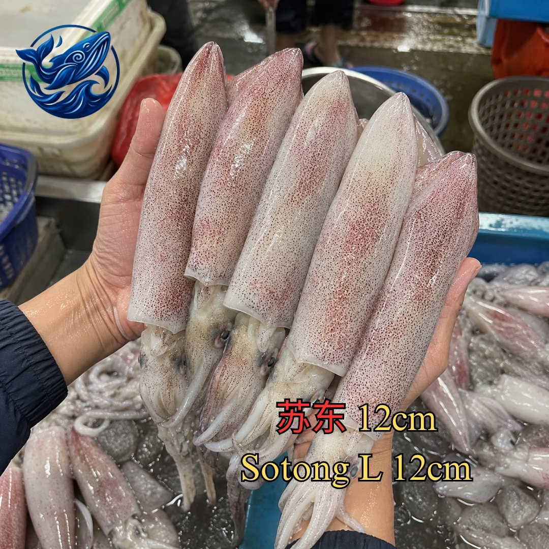 苏东 L (12cm) / SOTONG L (12CM) (Per Pack)